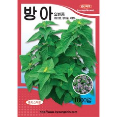 초록마을해바라기씨유