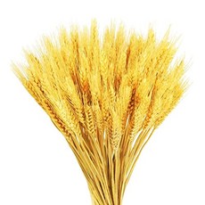 0d41c9b3abdad81eac6ec4a45358b968627c4800052511d525f4acd135a5.jpg