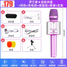 웅장하게 울리는 가정용 블루투스 노래방 무선 마이크 와이어리스 집에서 공연용 홈노래방 자동차, Roland Purple Send 보관함 + 이어폰 + 충전 케이블 + 녹음 케이블 + 밀 덮개 + 브래킷