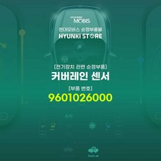 카니발ka4레인센서