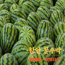 경남 함안 하우스 꿀수박 고당도 보장, 1개, 4kg