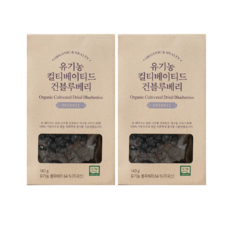 유기농 컬티베이티드 건블루베리, 2개, 140g