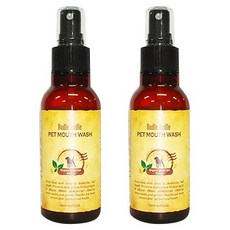 에코랜드모노레일