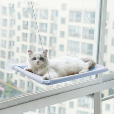 뉴블루캣20kg