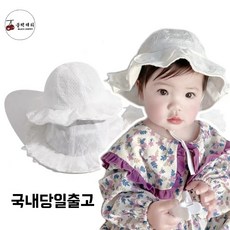 아기레이스귀돌이
