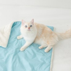 베베네코