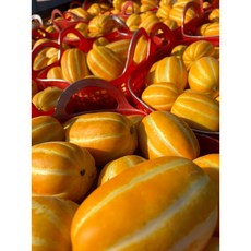 성주참외 고당도 꿀 참외 당일수확 산지직송!10kg, 1개