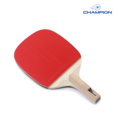 49a955ab5be25b3b363707c324b109bb006c04e9f3a73a3a6ed5c7312f51.jpg