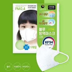 블루본마스크소형kfad