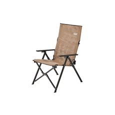 콜맨 (Coleman 레이 체어 메쉬 (그레이지