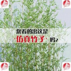 5e53b7fa5b13e352ff402995d72fa341a673b149f4ec71b64c7b43fef8a5.jpeg