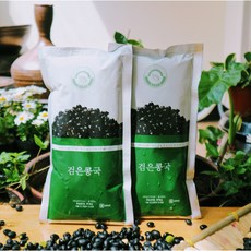 [알브이디]서리태콩국수콩물 420gx6팩 식사대용 검은콩물 콩국수 서리태콩 여름별미, 420g x 10팩
