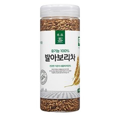 6개월아기보리차