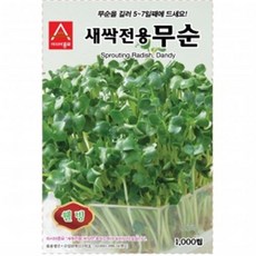 (아시아종묘/새싹씨앗) 무순이(1kg), 1개