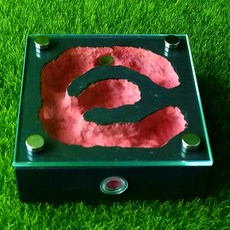 개미 기르기 신 여왕 개미 군체 콜로니 사육장 개미집 관찰 ANT HOUSE 2칼라형 CKGT-002, 레드 (도장)개