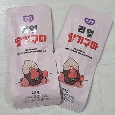 베베당찐또구마