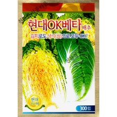 항암배추 씨앗 24년생산 현대OK베타 김장 가을 알배추 쌈배추 씨종자 300립, 1개
