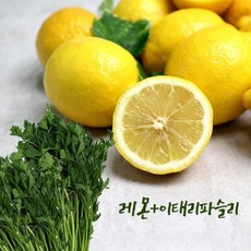레몬파슬리