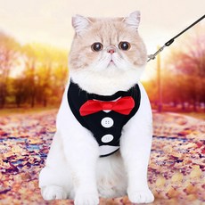 장바9니 고양이 턱시도 하네스 리드줄세트 반려동물 가슴줄, 블랙, 1개