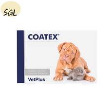 COAREX 코텍스 강아지 고양이 피부영양제 60캡슐 오메가3 for Dogs & Cats 반려묘 반려견 SGL