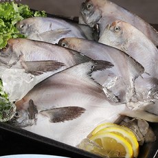 마시따구 국내산 병어 비늘제거 세척 급냉, 1세트, 10미
