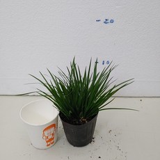 91ee38577d9a0f1f006a723e7f753cec95acad228a537277da9e7fcd5635.jpg