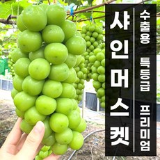 까로망청포도자몽레몬복숭아파인애플체리2kg