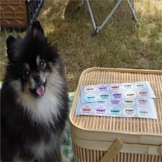 강아지간식금지스티커