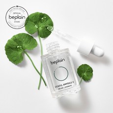 비플레인시카풀앰플