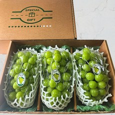 24년 명절 선물세트, 샤인머스켓 3수 3kg 세트