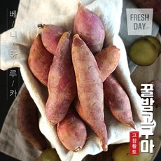 프레시데이 달콤한 고창 꿀밤 고구마 3kg (로얄특상품), 1