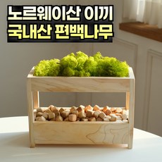 스마트덕 편백나무 천연 가습기