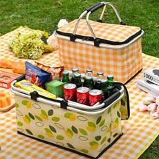 소프트 백 30L 쿨러 대용량 접이식아이스박스