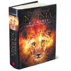 thechroniclesofnarnia2thelionthewitch