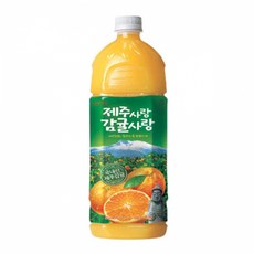 롯데 제주사랑 감귤사랑 1.2Lx12펫, 1박스
