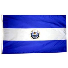 Annin Flagmakers 192401 International Flag 3x5  not_applicable, 단일옵션