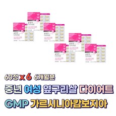 중년 옆구리살 여성 6개월 다이어트 보조제 여자 비타민B2 가르시니아캄보지아 차전자피 GMP 50대 60대 여자 건강 운동 홈트 등산 장모님 비타민B6 뱃살 허벅지살 등살