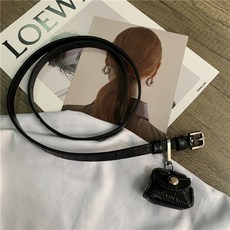 디올새들벨트백