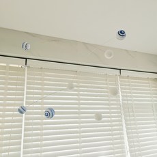 세이지폴와이드