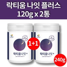 수면엔 락티움 나잇 플러스 수면에 좋은 음식 유단백 가수분해물 미셀라 카제인 타트체리 프락토올리고당 FOS 분말 가루 120g 2통 대용량, 2개