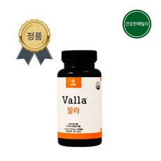 비사이 발라 비타민C 110mg 60캡슐 유해산소 제거 영양제 비타민C 섭취 VISI Valla [건강한패밀리], 1개, 60개