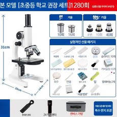 광학 현미경 전문가 미생물 박테리아 과학 HD 학교 실헐 삼안