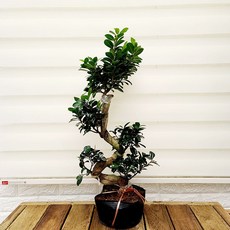 b0a6d1e9614e56b41e82d2e6b03ee5f3a187d3c29e01fcd6b2ed1872a1f4.jpg