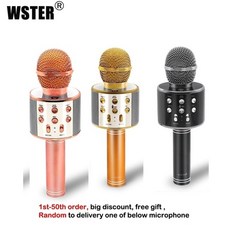 wster마이크