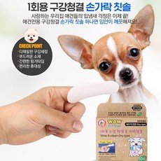 강아지천손가락칫솔