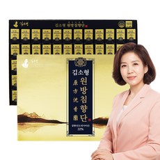 김소형 원방침향단60환 (침향22%)정품