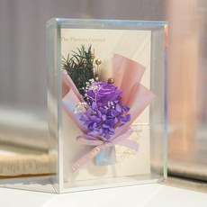 장미맨숀 TOP01