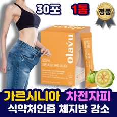 내장지방분해차