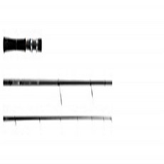 6ec2effbd75e38fe29802ac1d1fe2dcca53c32bef0f12cc6609bf7e3e96e.jpg