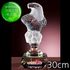 (트로피팩토리) 트로피 우승트로피 골프트로피 이글패 싱글패 홀인원패 골프상패 TF6-08901
